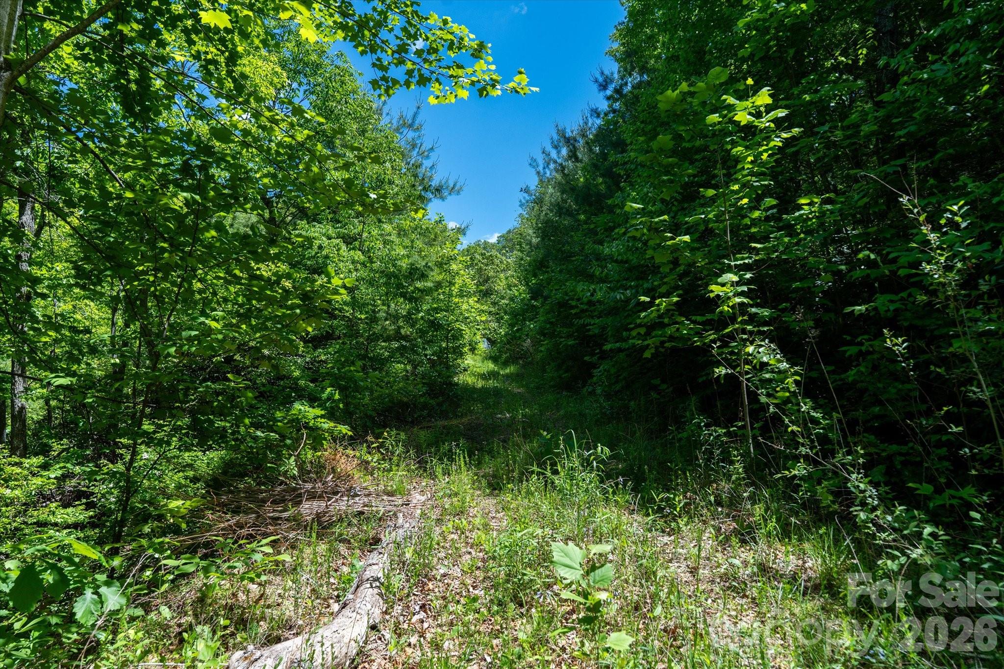 99999 Winding Ridge Road Fairview, NC 28730 - Photo 11 of 15