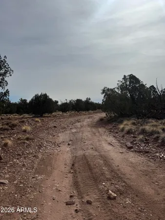 $34,000 | 86 North N8433, Unit 416, Concho, AZ 85924