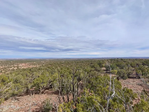 $34,000 | 86 North N8433, Unit 416, Concho, AZ 85924