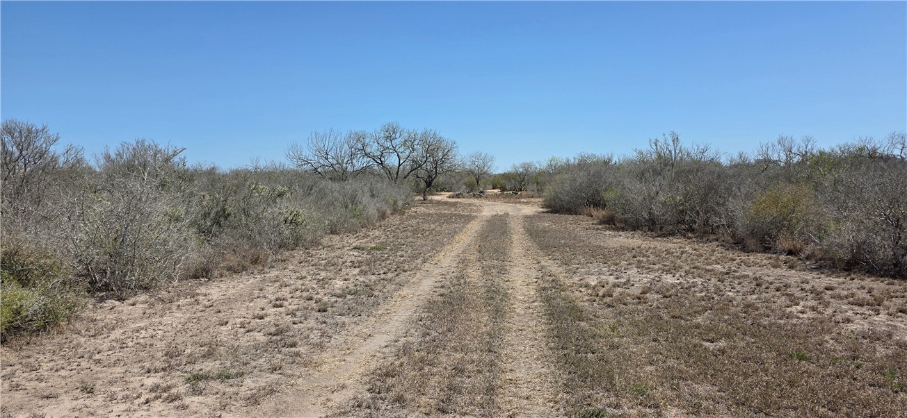 123-124 Frontier Road San Diego, TX 78384 - Photo 13 of 20 a view of a yard with trees in the background