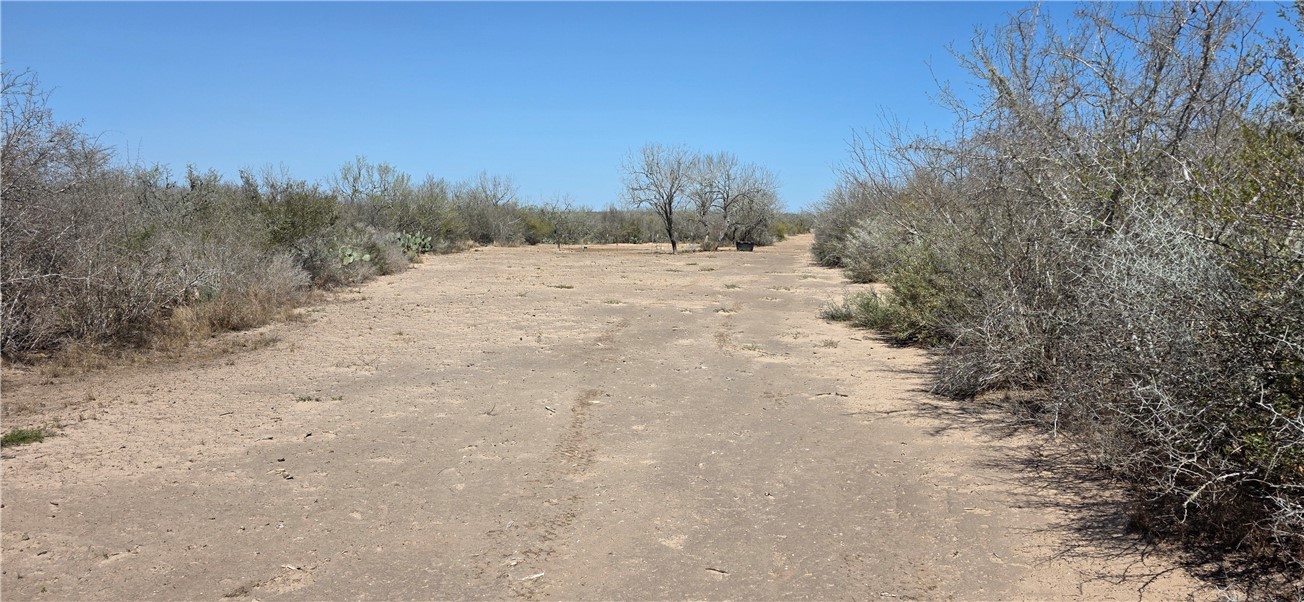 123-124 Frontier Road San Diego, TX 78384 - Photo 14 of 20 a view of a covered with snow in the background