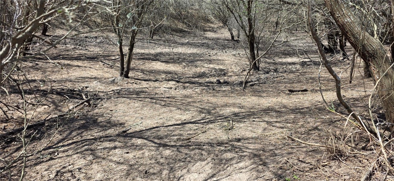 123-124 Frontier Road San Diego, TX 78384 - Photo 15 of 20 a view of a yard with large trees