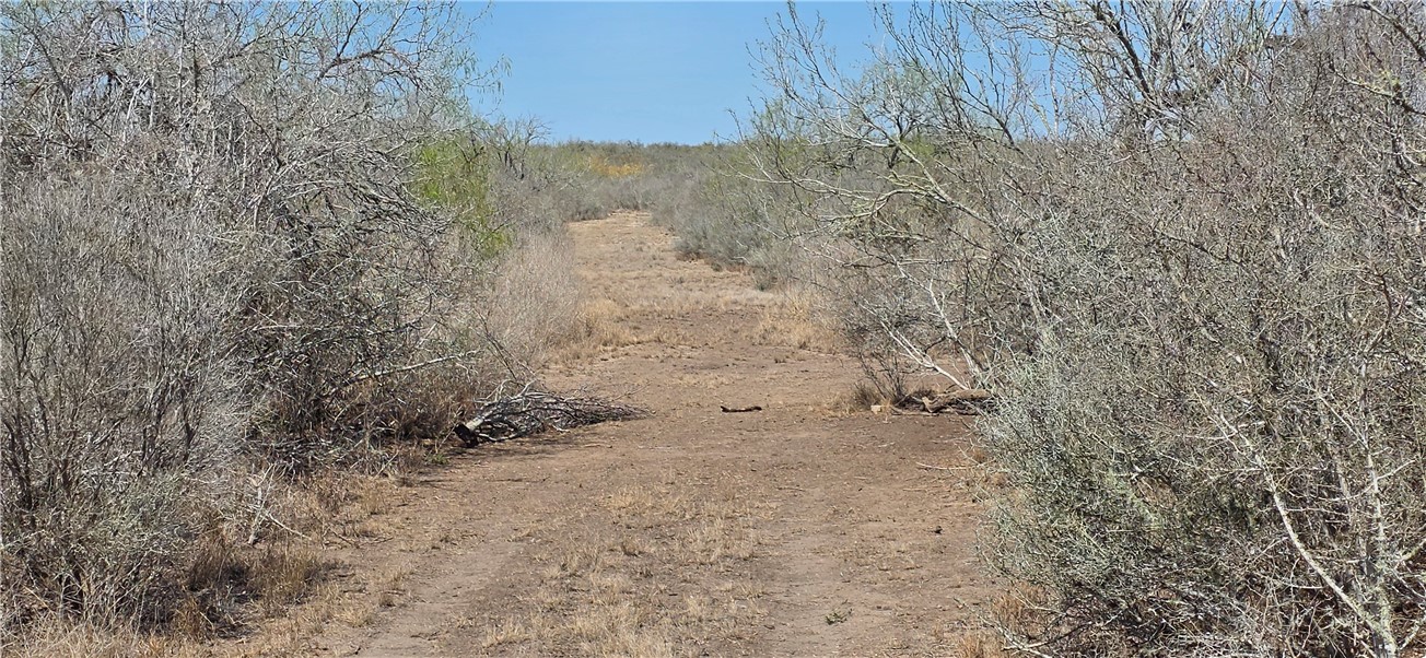 123-124 Frontier Road San Diego, TX 78384 - Photo 17 of 20 a view of mountains in the yard