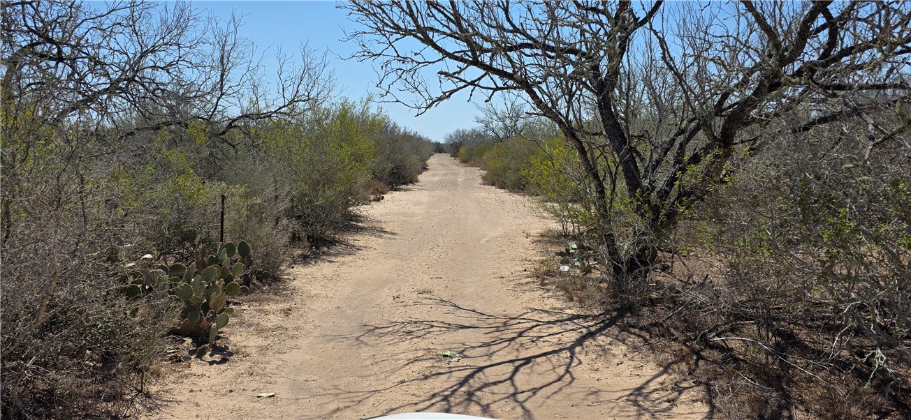 123-124 Frontier Road San Diego, TX 78384 - Photo 18 of 20 a view of a yard with trees
