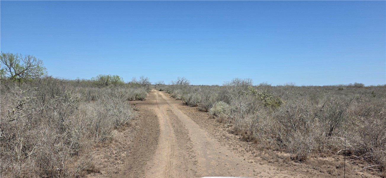 123-124 Frontier Road San Diego, TX 78384 - Photo 19 of 20 a view of a dry yard with trees in the background