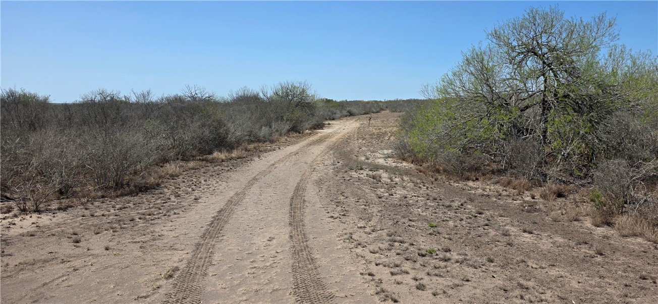 123-124 Frontier Road San Diego, TX 78384 - Photo 20 of 20 a view of a dry yard with trees in the background