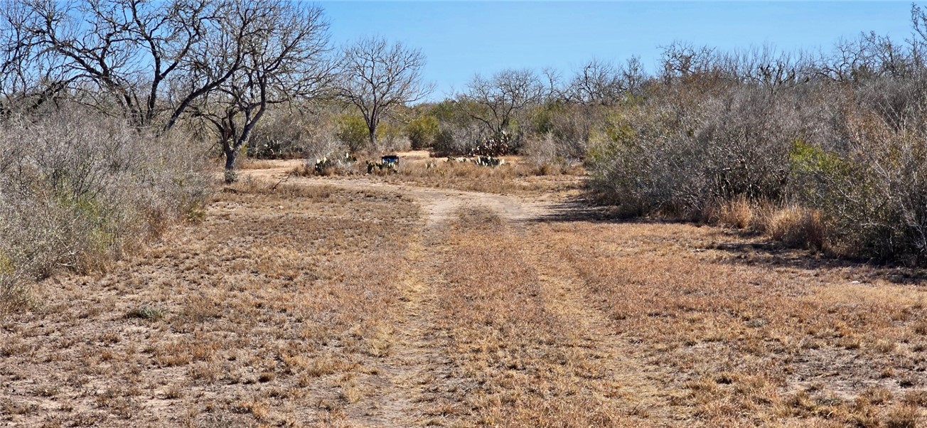 123-124 Frontier Road San Diego, TX 78384 - Photo 2 of 20 a view of dirt yard with a large tree