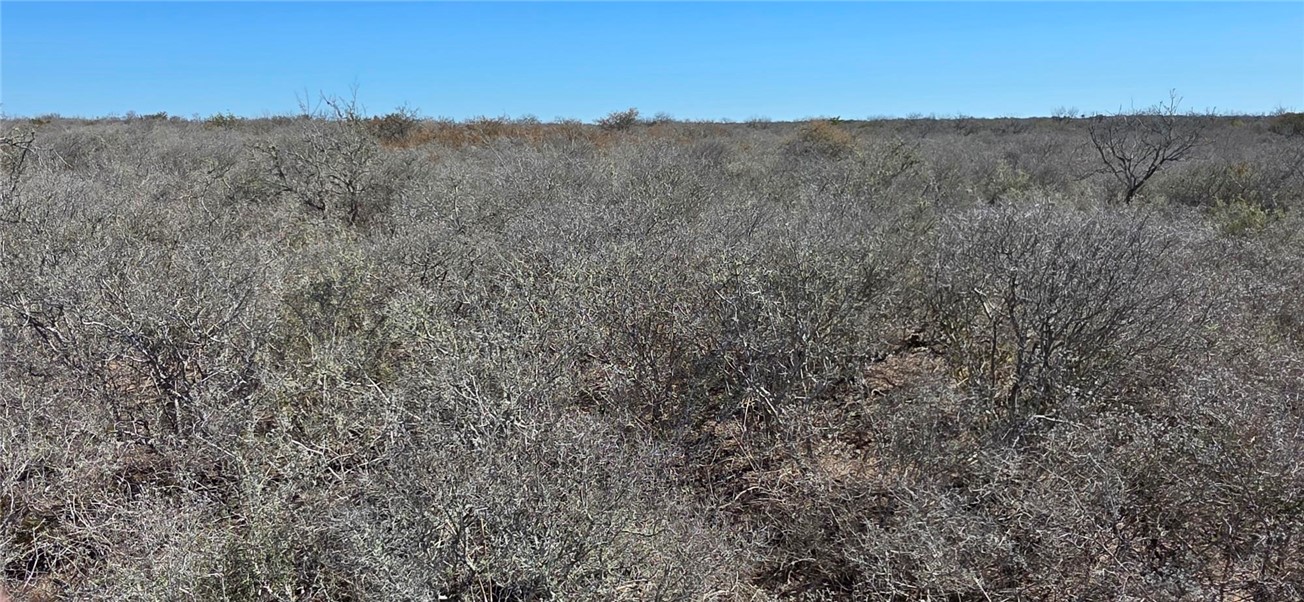 123-124 Frontier Road San Diego, TX 78384 - Photo 4 of 20 a view of mountain