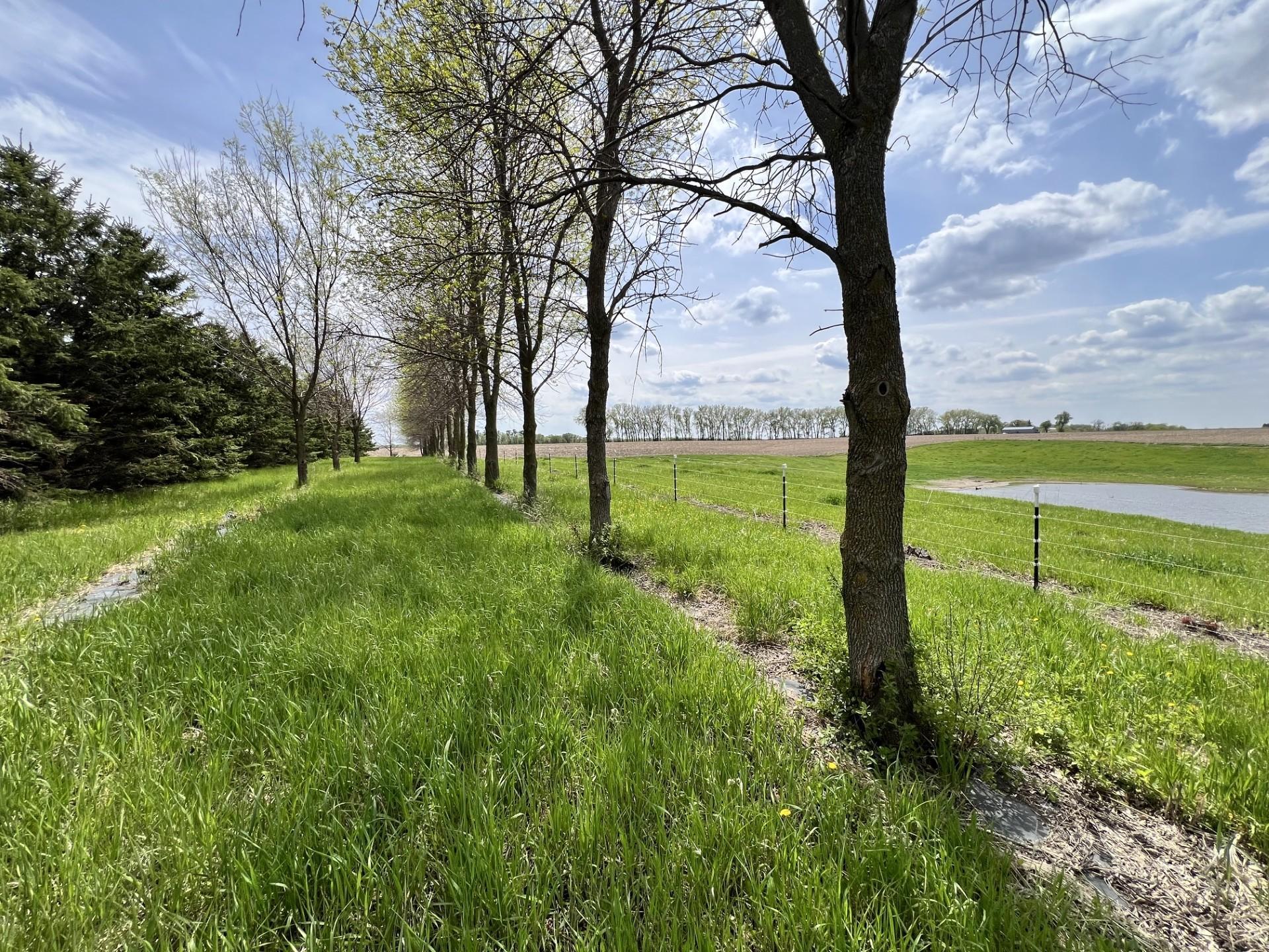 13472 Edgefield Road Northwest Brandon, MN 56315 - Photo 36 of 62