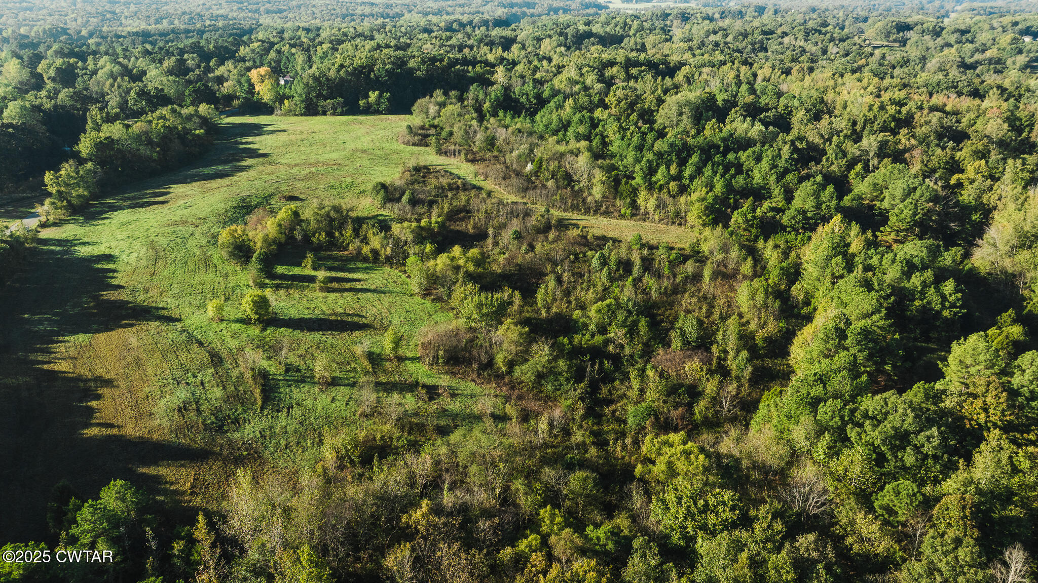 0 Jewell Store Road Dresden, TN 38225 - Photo 16 of 22 a view of a garden with a lake