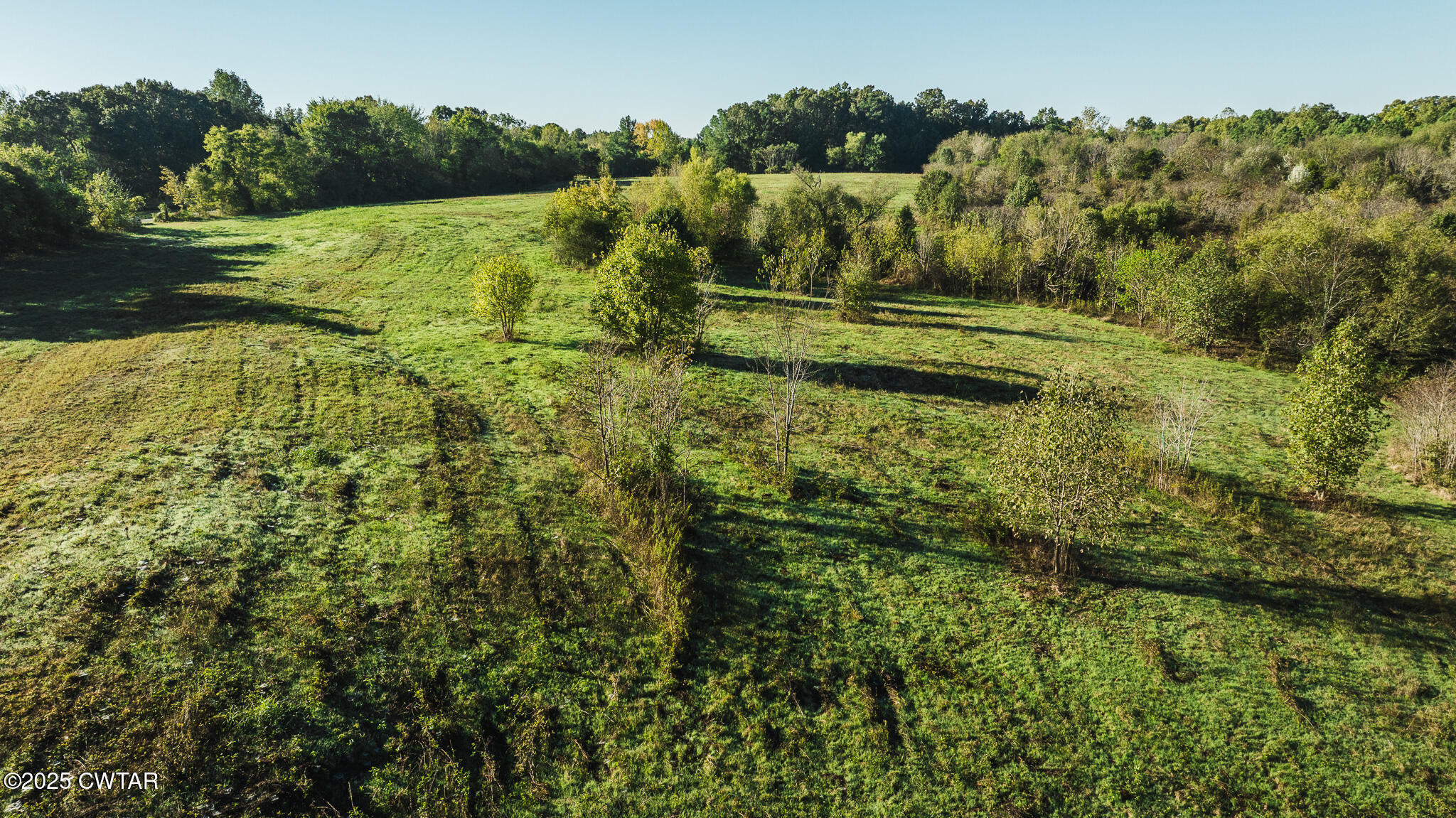 0 Jewell Store Road Dresden, TN 38225 - Photo 17 of 22
