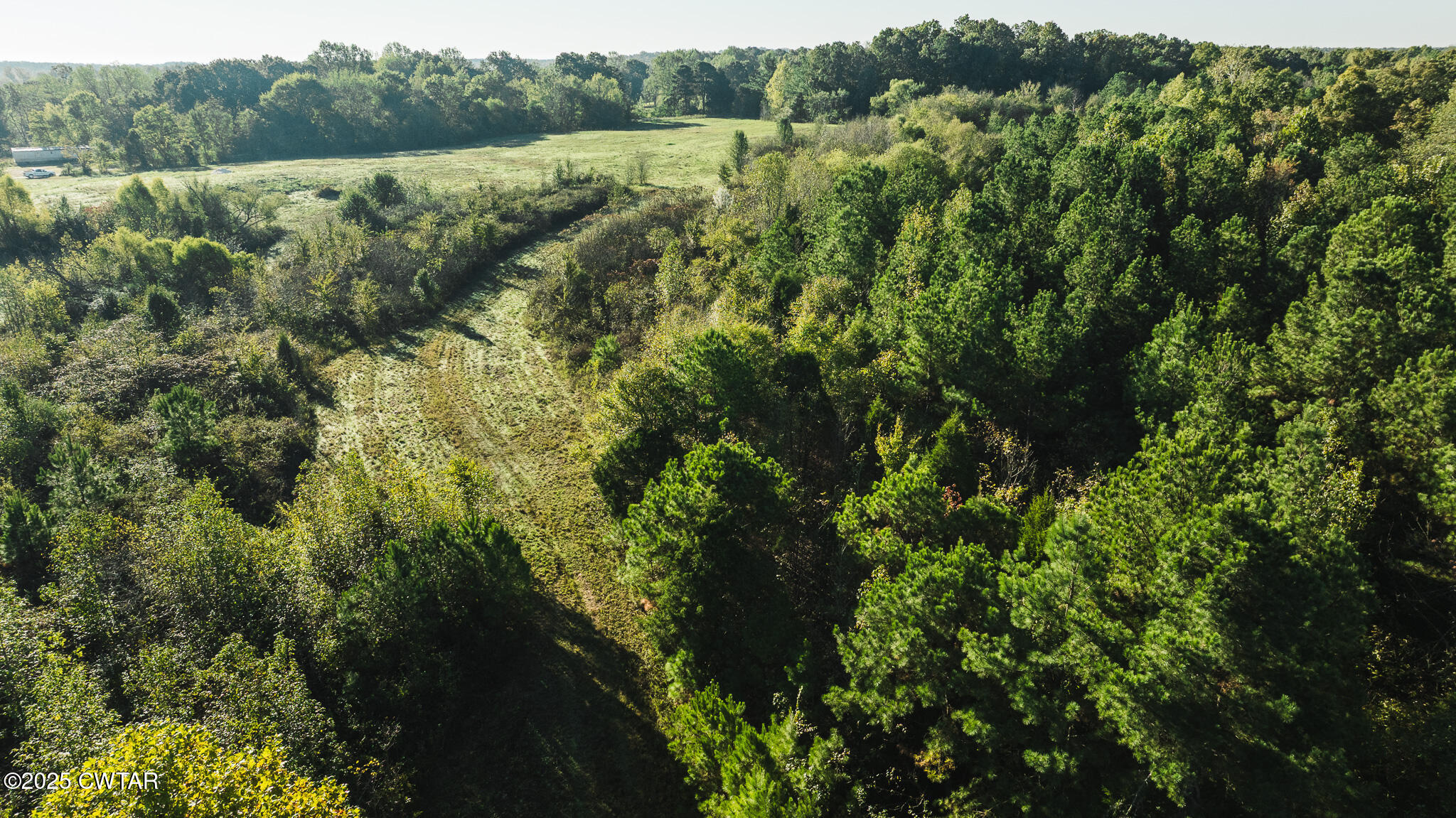 0 Jewell Store Road Dresden, TN 38225 - Photo 18 of 22 a view of a forest with a yard