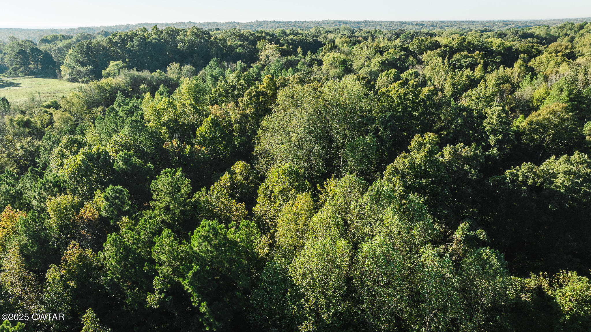 0 Jewell Store Road Dresden, TN 38225 - Photo 19 of 22 an aerial view of a forest with houses