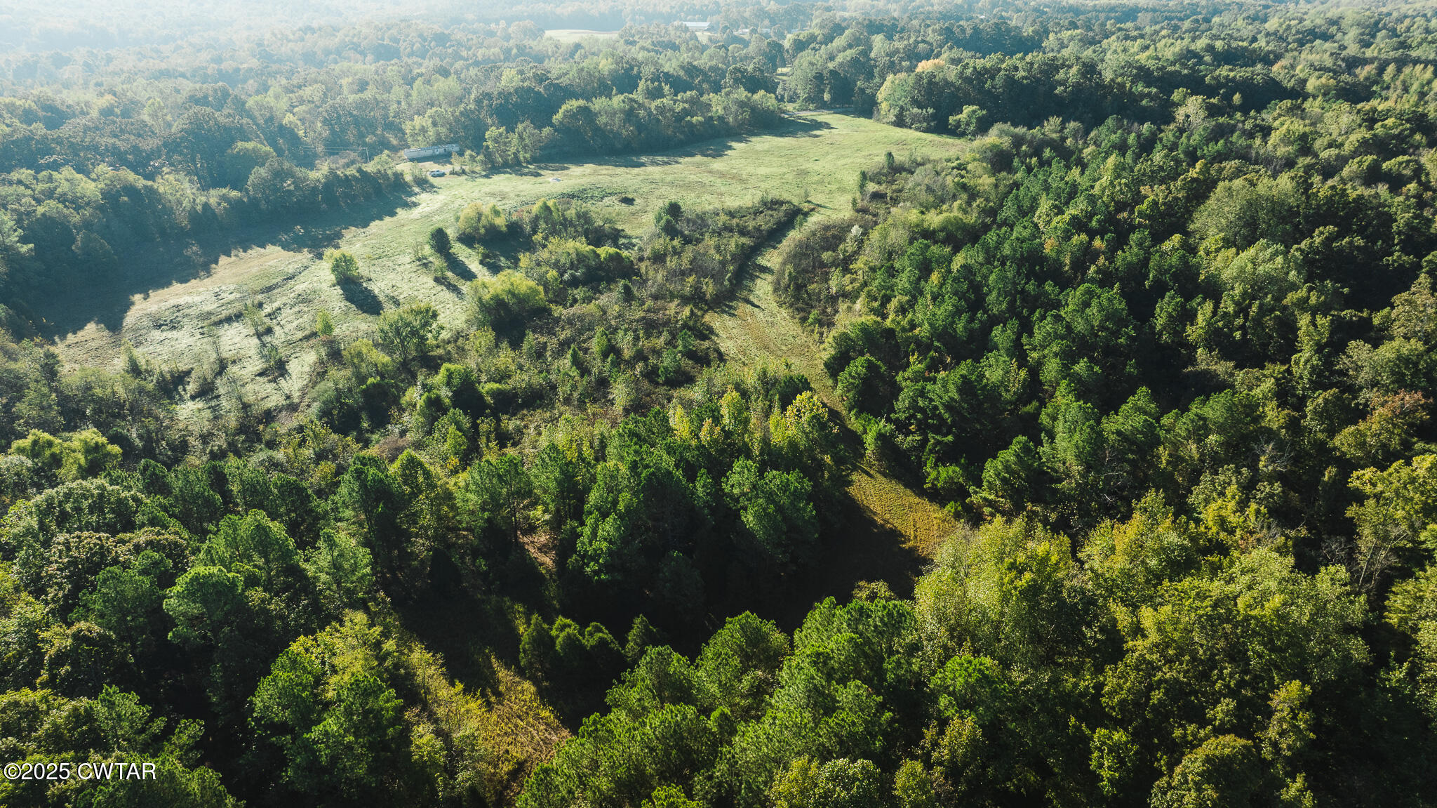 0 Jewell Store Road Dresden, TN 38225 - Photo 21 of 22 a view of a garden with a lake