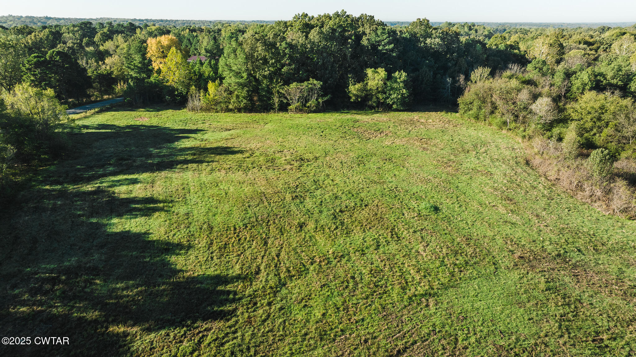 0 Jewell Store Road Dresden, TN 38225 - Photo 5 of 22 a view of a yard