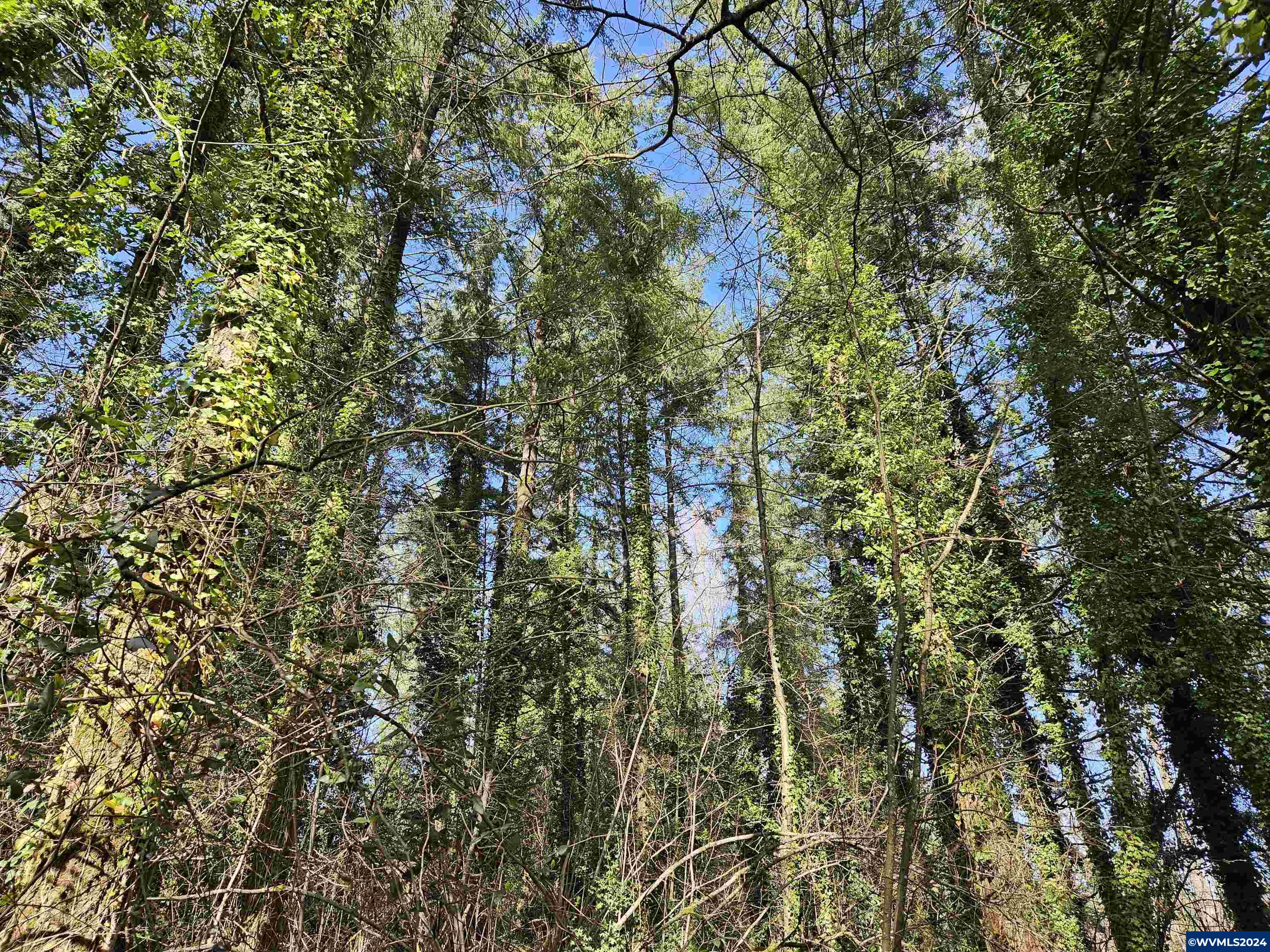 2700 Northwest Miller Lane Albany, OR 97321 - Photo 5 of 10