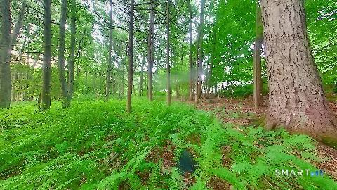 37-39 Verville Road Avon, CT 06001 - Photo 19 of 19