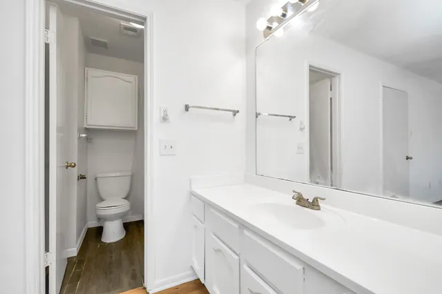 a bathroom with a sink a toilet and a large mirror