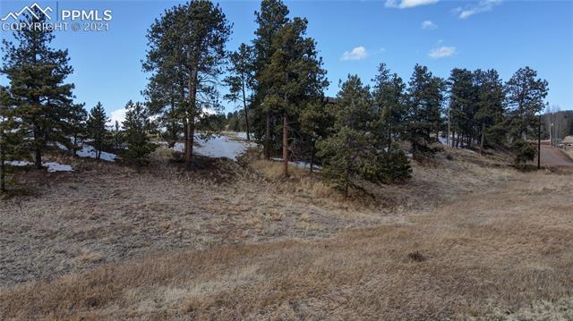 297 High Pasture Road Florissant, CO 80816 - Photo 5 of 23 One potential build site