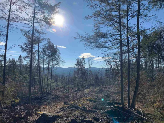 $99,900 | Map3-lot9-1 Scotland Road, Winchester, NH 03470