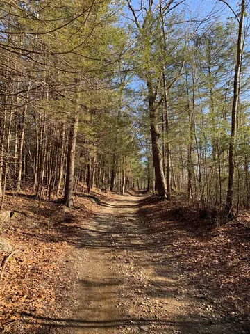 $99,900 | Map3-lot9-1 Scotland Road, Winchester, NH 03470