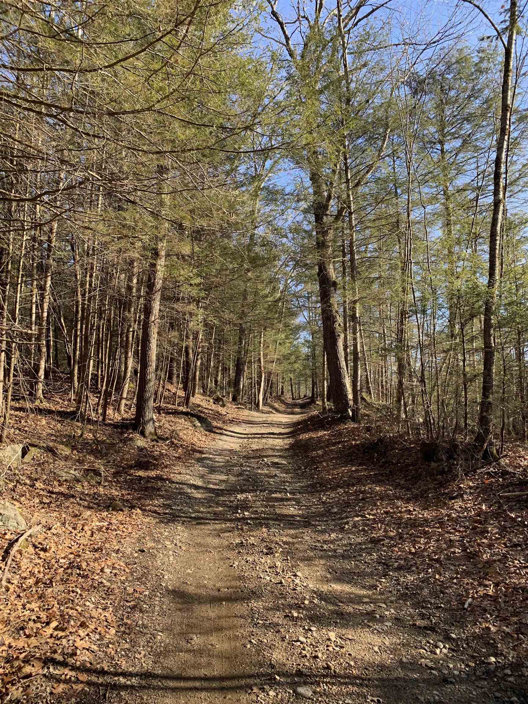 Map3-lot9-1 Scotland Road Winchester, NH 03470 - Photo 11 of 14