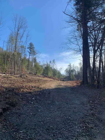 $99,900 | Map3-lot9-1 Scotland Road, Winchester, NH 03470