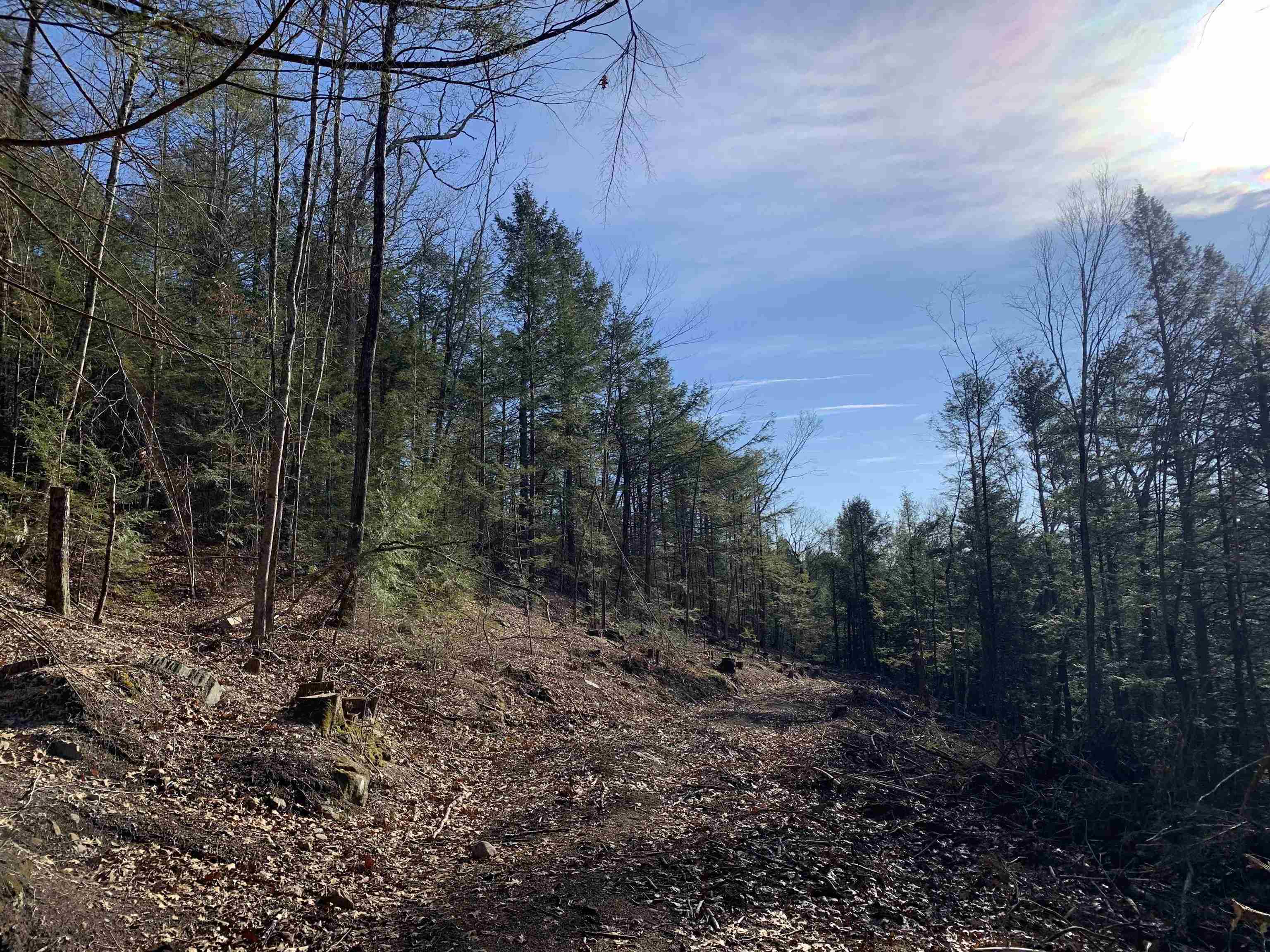 Map3-lot9-1 Scotland Road Winchester, NH 03470 - Photo 8 of 14