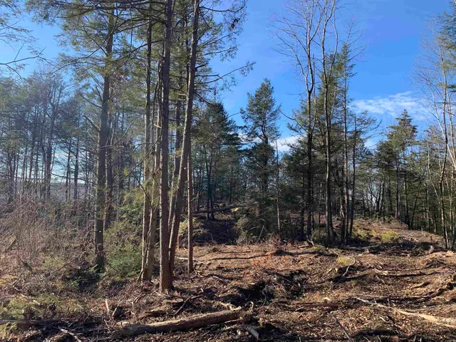 $99,900 | Map3-lot9-1 Scotland Road, Winchester, NH 03470