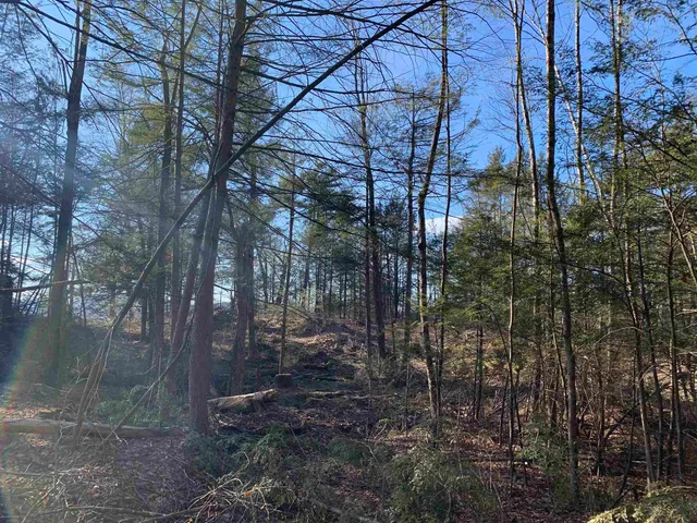 $99,900 | Map3-lot9-1 Scotland Road, Winchester, NH 03470