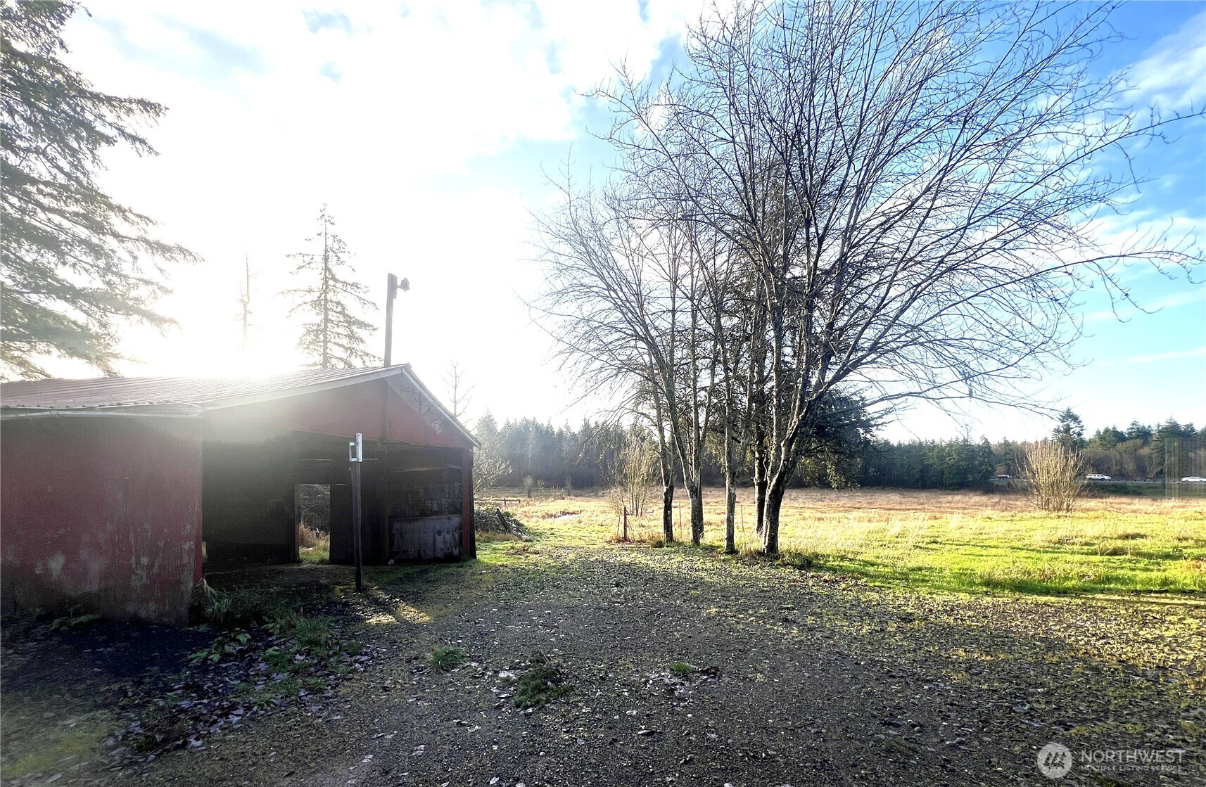 5347 216th Avenue Southwest Centralia, WA 98531 - Photo 8 of 15 a view of swimming pool with a yard
