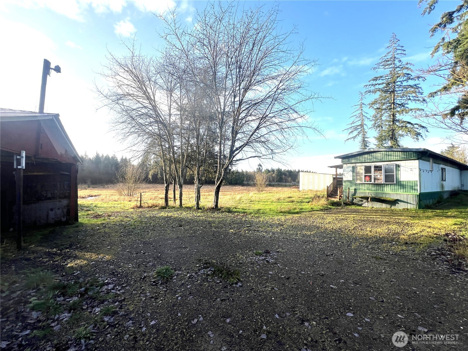 5347 216th Avenue Southwest Centralia, WA 98531 - Photo 9 of 15 a view of a yard with a house