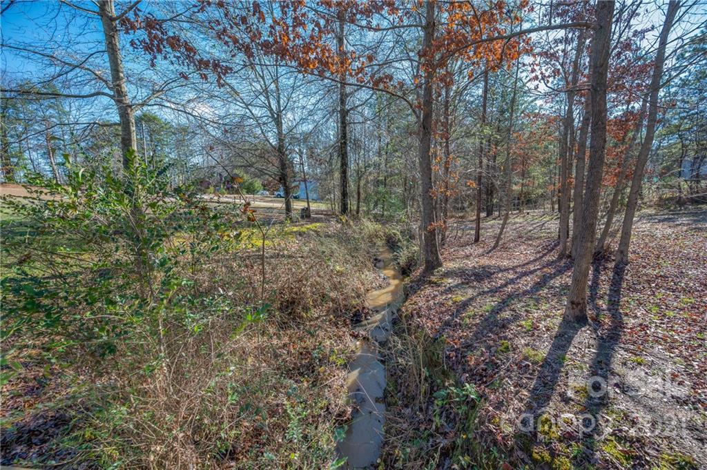 291 Cardinal Street Inman, SC 29349 - Photo 34 of 40 a view of a forest with trees