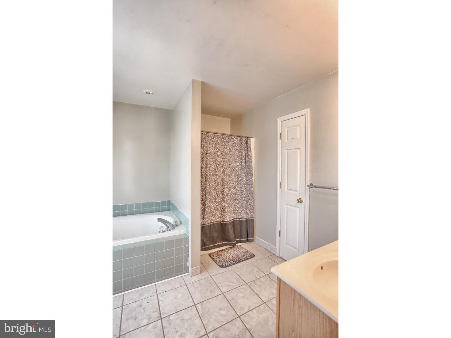 256 Bainbridge Circle Sinking Spring, PA 19608 - Photo 11 of 18 Master Bathroom