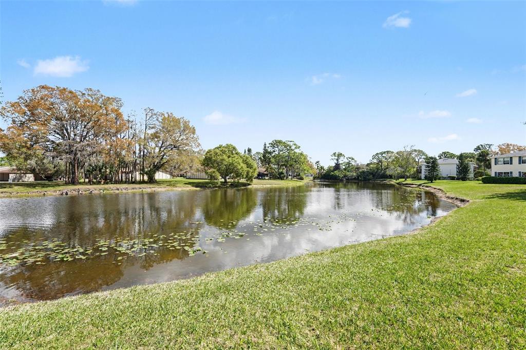 129 Camphor Circle, Unit F Oldsmar, FL 34677 - Photo 31 of 38 a view of a lake