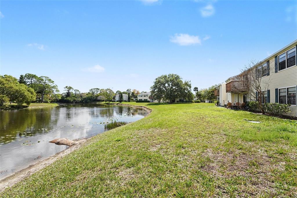 129 Camphor Circle, Unit F Oldsmar, FL 34677 - Photo 33 of 38 a view of a lake with houses in the background