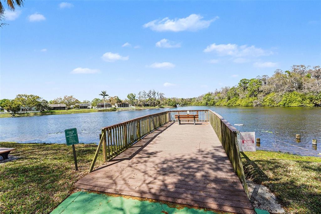 129 Camphor Circle, Unit F Oldsmar, FL 34677 - Photo 34 of 38 a view of a lake with a terrace