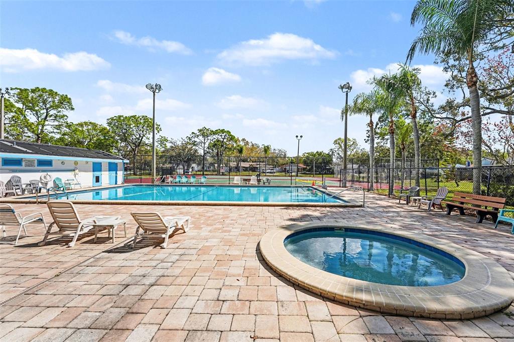129 Camphor Circle, Unit F Oldsmar, FL 34677 - Photo 38 of 38 a view of a swimming pool with a lounge chair