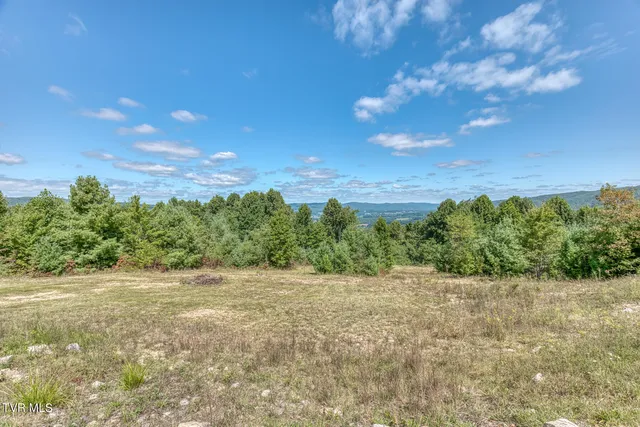 $968,000 | 384 Cross Mountain Road, Shady Valley, TN 37688
