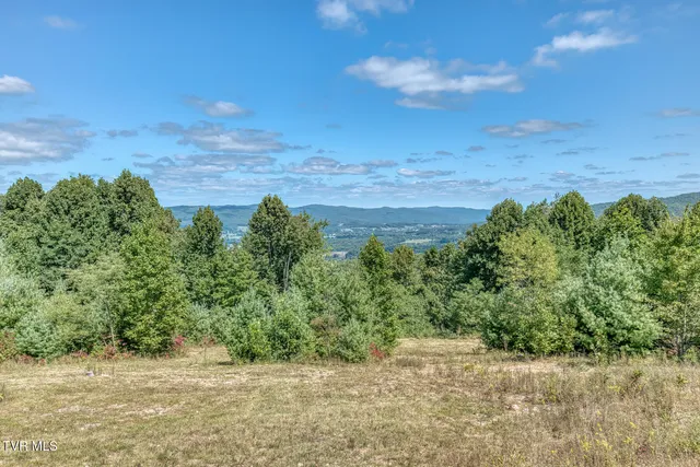 $968,000 | 384 Cross Mountain Road, Shady Valley, TN 37688