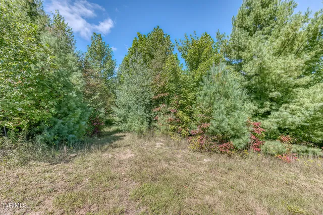 $968,000 | 384 Cross Mountain Road, Shady Valley, TN 37688