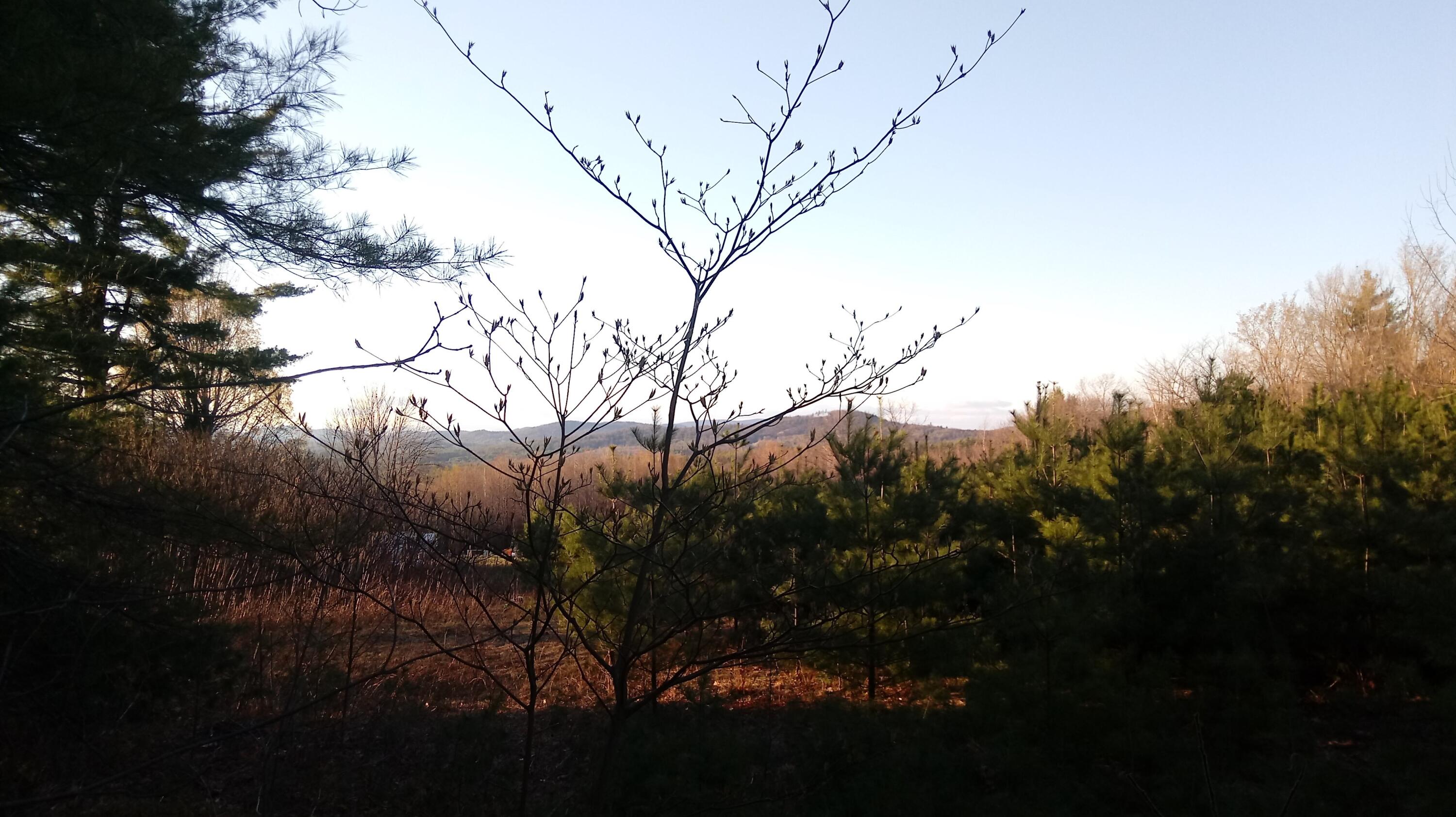 187 Hussey Road Parsonsfield, ME 04047 - Photo 1 of 1 hussey