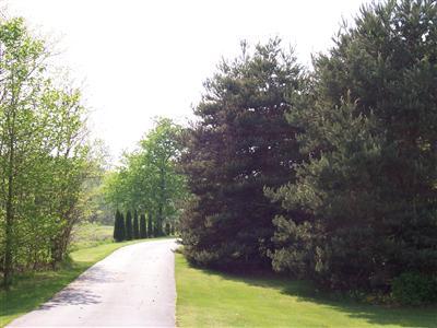10362 Gast Road Bridgman, MI 49106 - Photo 8 of 16 Additional Photo