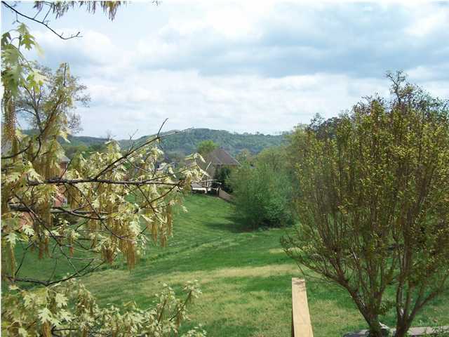 324 Shadow Ridge Drive Chattanooga, TN 37421 - Photo 3 of 25 Additional Photo