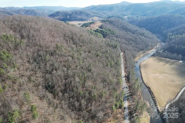 a view of a dry yard