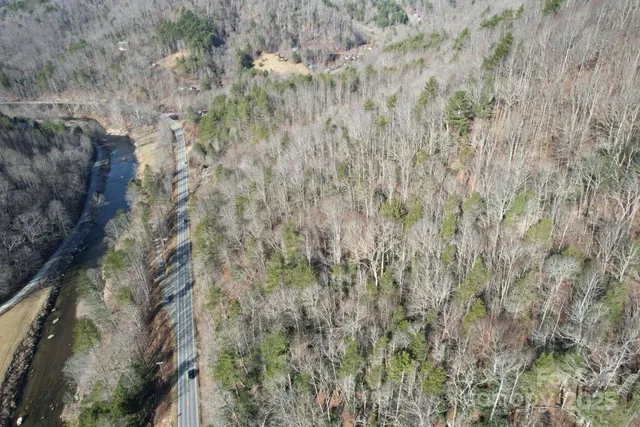 a close up of a plant