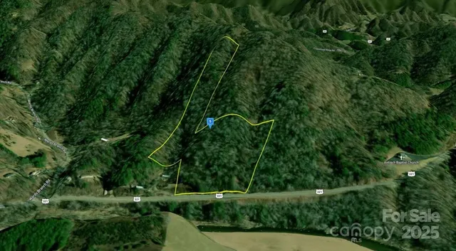 a view of a lush green forest with lots of trees