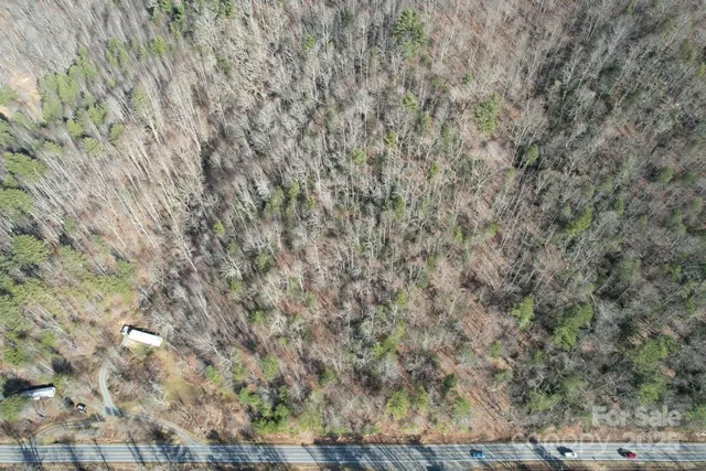 a close up of a plant