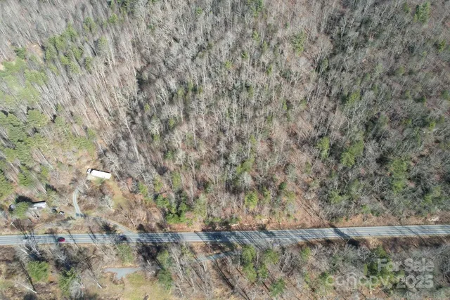 a view of a dry yard