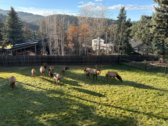 $775,000 | 27906 Lupine Drive, Evergreen, CO 80439